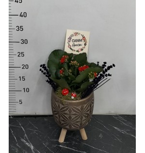 Ayaklı saksı da kalanchoe çiçeği